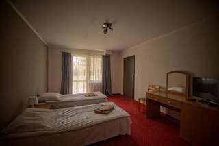 Мотели Motel Polonus Можичин Двухместный номер с 2 отдельными кроватями и собственной ванной комнатой-3